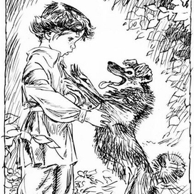 К "Тёма и жучка"  изд. "Детгиз"