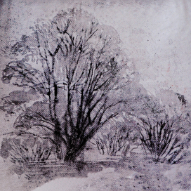"Зимние деревья"