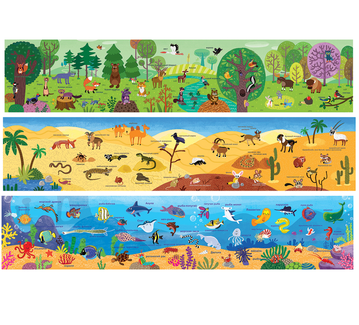 животные мира