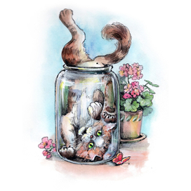 Кот дуралей