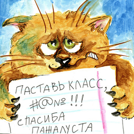 Котоклассники