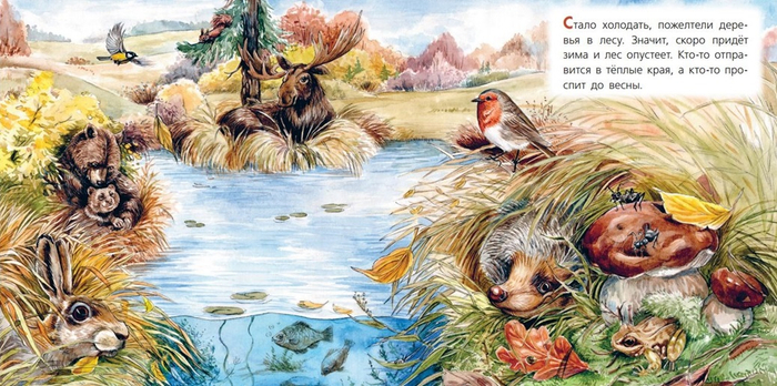 Как зимуют звери