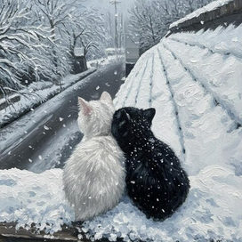 Зимние котики