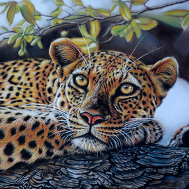 Леопард, пастель