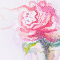 Сказка о жабе и розе-2