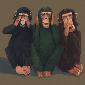 Не вижу зла, не слышу зла, не говорю о зле