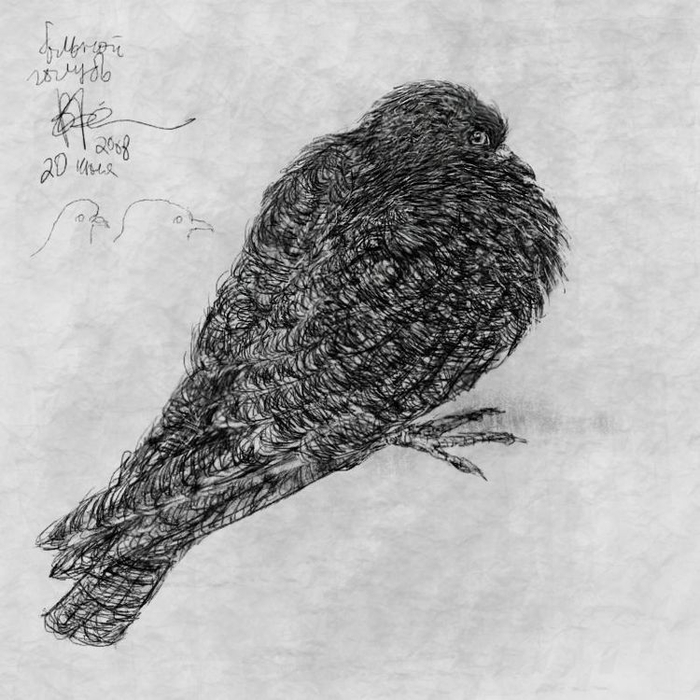 Умирающий Голубь