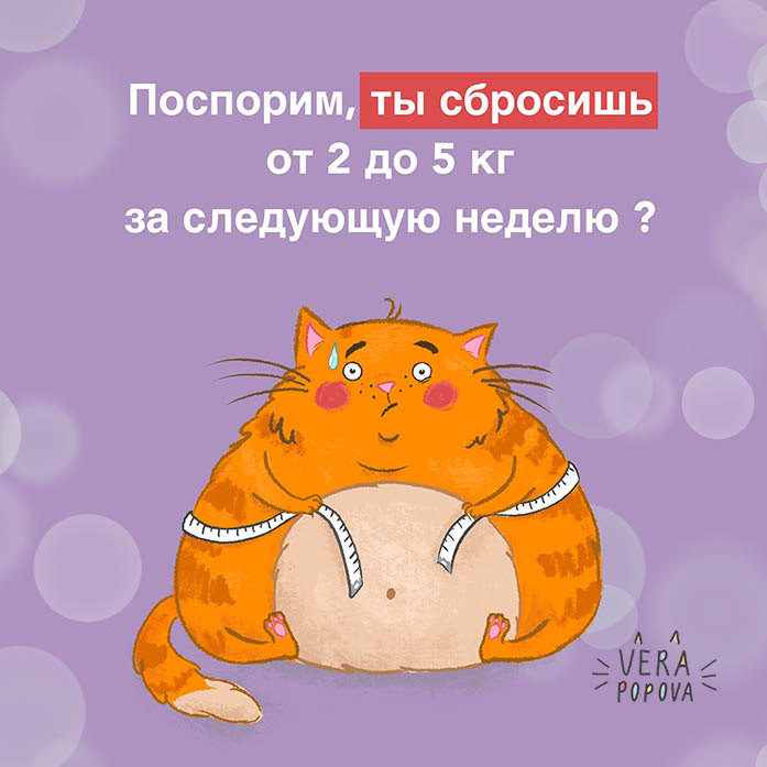 Толстый кот