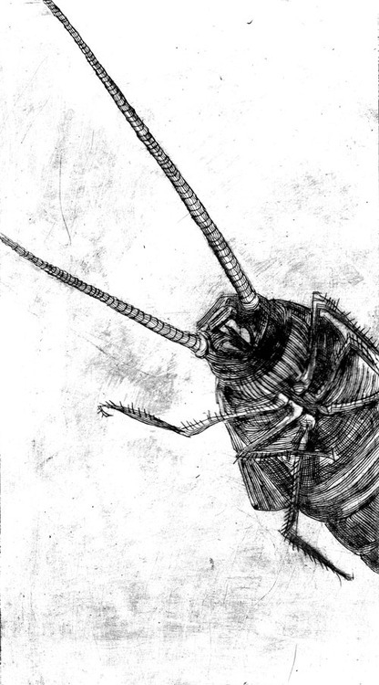 Ю. Тынянов "Восковая Персона",