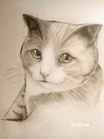 Портрет знакомого кота