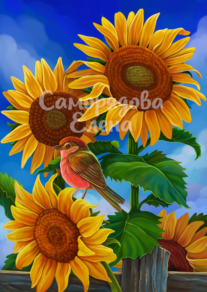 Птичка и подсолнухи