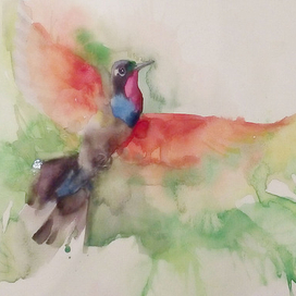 В полёте. Зимородок