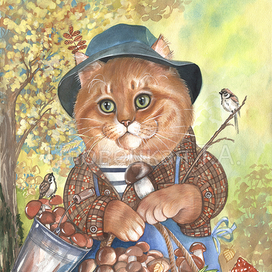Кот Рыжик грибник