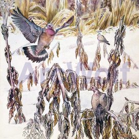 Вяхири в табаке