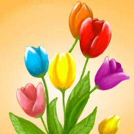 Тюльпаны