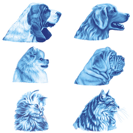 в продолжении... иллюстрации для корма