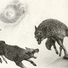 Против друга