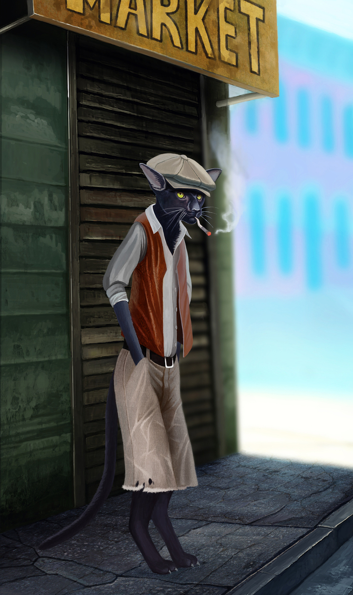 криминальный кот