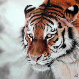 Хозяин тайги