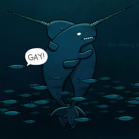 Sad story of narwhal couple