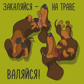 Закаляйся - на траве валяйся!