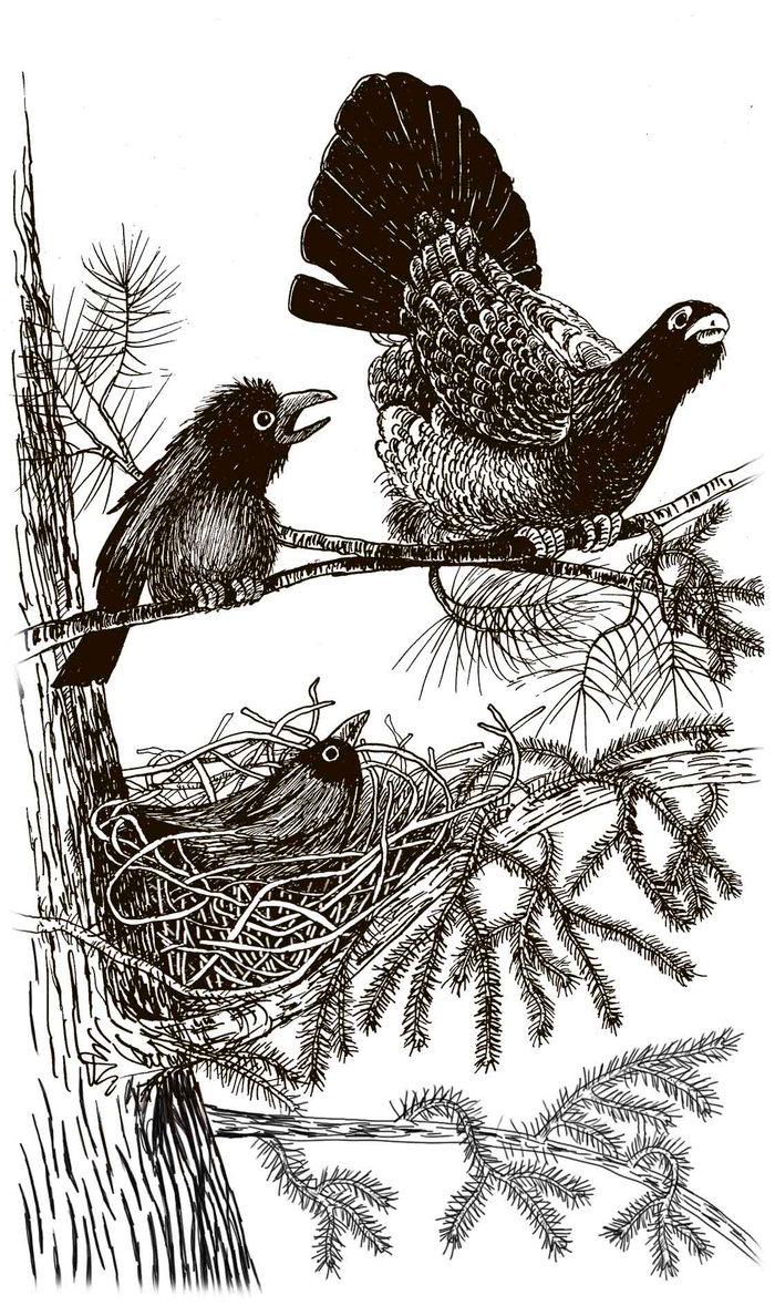 Т ы нам мешаешь!