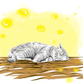 К сказке про кота)