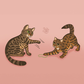 Портрет кошечек