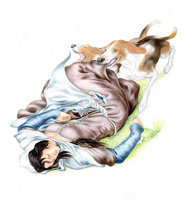 Злые собаки