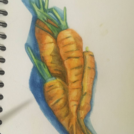 Морковь