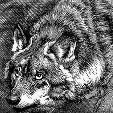 Шмуцтитул к 9-й главе