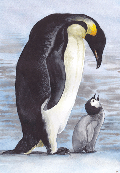 Пингвинчики