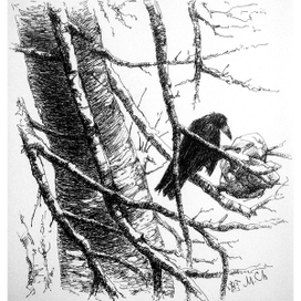 Рождественский сюрприз