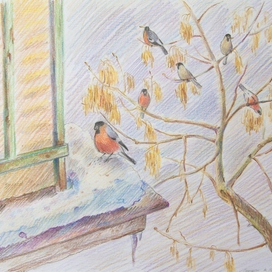 снегири за окном