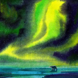 Белый медведь.