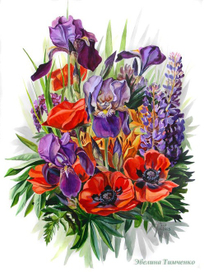 Маки и ирисы