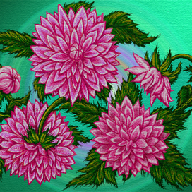 Хризантемы