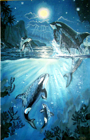 прыжок касатки