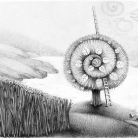 морские заливы