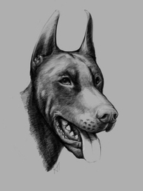 Santa Julf Graf Aldo