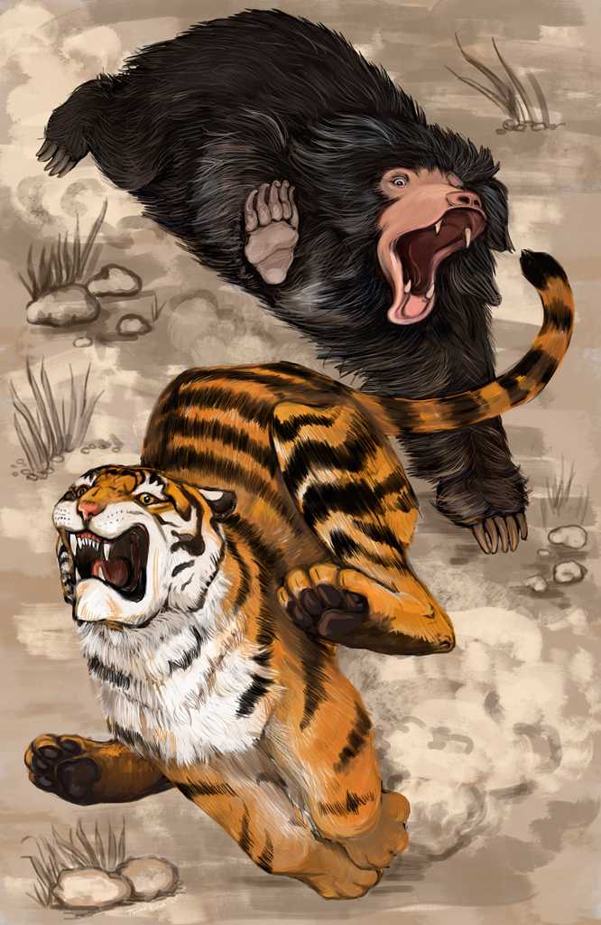 Атата или не злите медведя-губача