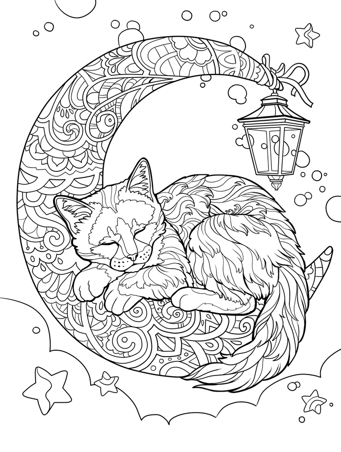 Сладкие сны