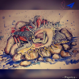 «Из ракушки»