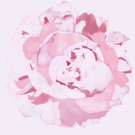 Акварельный пион