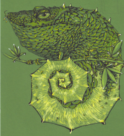 Хамелеозавр