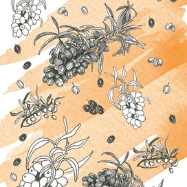 Принт облепиха