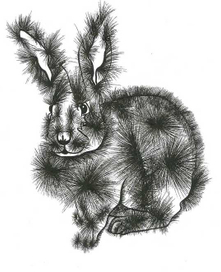 С иголками =)