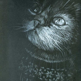 сквозь стекло