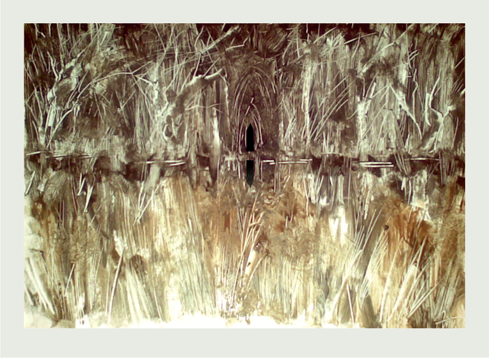 Охоники за бутонами. Запретное болото...