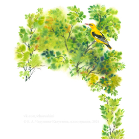 Иллюстрация к авторской книге "Зеркальный дом озёрной чайки"